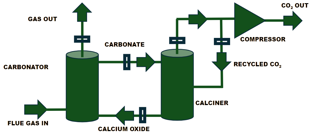 Can You Build Muscle When You’re Older?