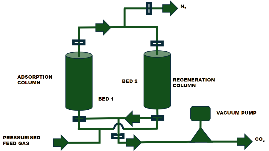 Can You Build Muscle When You’re Older?