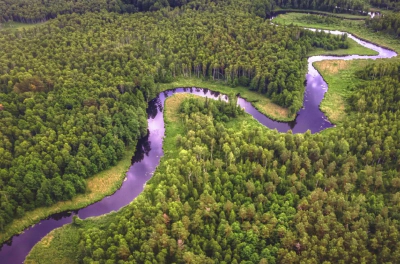 There Are Zero Bridges Across The Amazon. Here Is Why